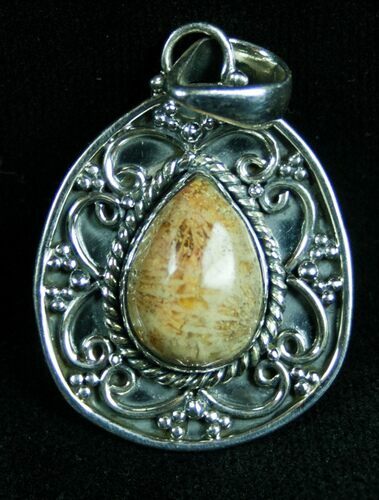Fossil Coral Pendant - Sterling Silver #7278